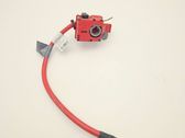 Positive cable (battery)