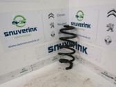 Rear coil spring