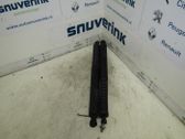 Tailgate/trunk strut/damper