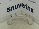 Front interior roof grab handle