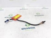Sonde lambda