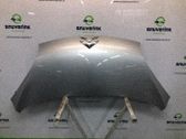 Konepelti