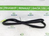Junta de goma de la puerta delantera coupé