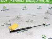 Tailgate/trunk strut/damper