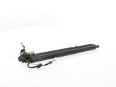 Tailgate/trunk strut/damper