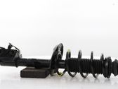 Stoßdämpfer hinten