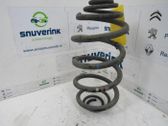 Rear coil spring