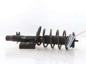 Front shock absorber/damper
