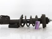 Front shock absorber/damper