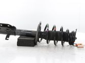 Front shock absorber/damper