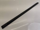 Rear door trim (molding)