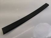 Rear door trim (molding)