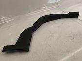 Listón embellecedor de la puerta delantera (moldura)