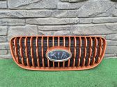 Kühlergrill