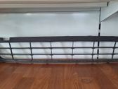 Front bumper lower grill