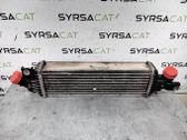 Radiador intercooler