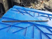 Windshield trim