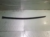 Windshield trim