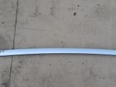 Windshield trim