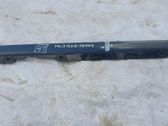 Front sill (body part)