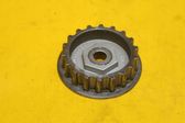 Alternator pulley