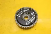 Timing chain sprocket