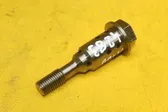 Camshaft vanos timing valve