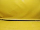Front door glass trim molding
