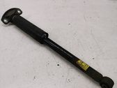 Stoßdämpfer hinten