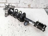 Rear shock absorber with coil spring