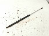 Tailgate/trunk strut/damper