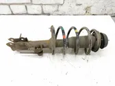 Front shock absorber with coil spring