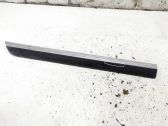 Rear door trim (molding)