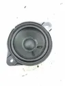 Rear door speaker