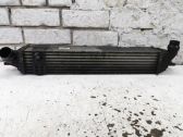 Intercooler radiator