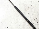 Tailgate/trunk strut/damper