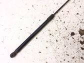 Tailgate/trunk strut/damper