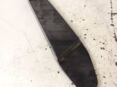 (B) pillar trim (bottom)