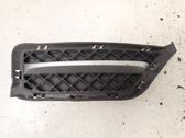 Front bumper lower grill