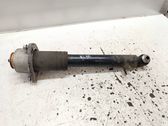 Rear shock absorber/damper