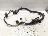 Other wiring loom