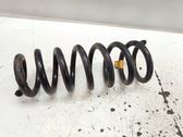 Front coil spring