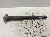 Rear shock absorber/damper