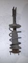 Front shock absorber with coil spring