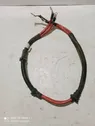 Positive cable (battery)