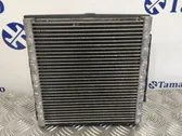 Air conditioning (A/C) radiator (interior)