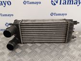 Intercooler radiator