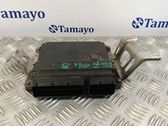 Unidad de control/módulo del motor