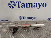 Rampa inyectora
