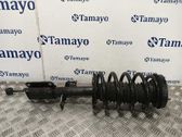 Front shock absorber with coil spring